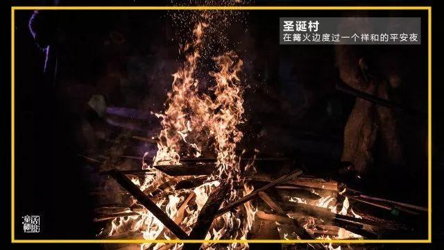 2024中国大学、民办、高职院校排名前30强