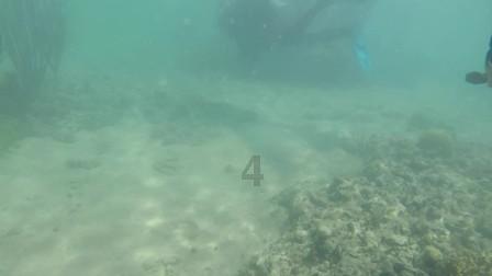 哈尔滨银轩温泉酒店:冰天雪地与温暖温泉的完美融合,尽享温泉养生之旅