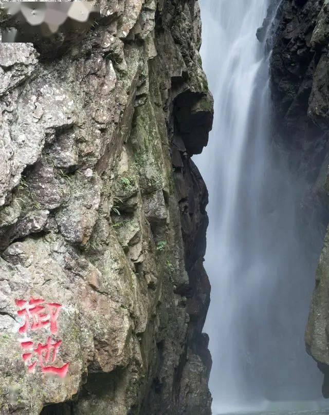 森林之神萨梯