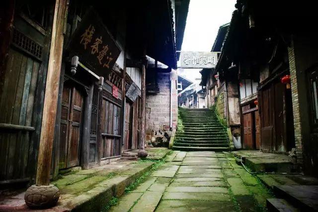 产业有势头  农户有奔头（乡村行  看振兴）